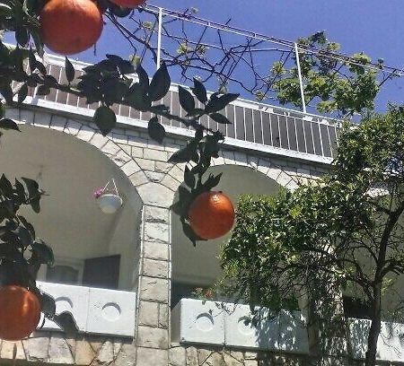 הרצג-נובי House Orange Apartments מראה חיצוני תמונה